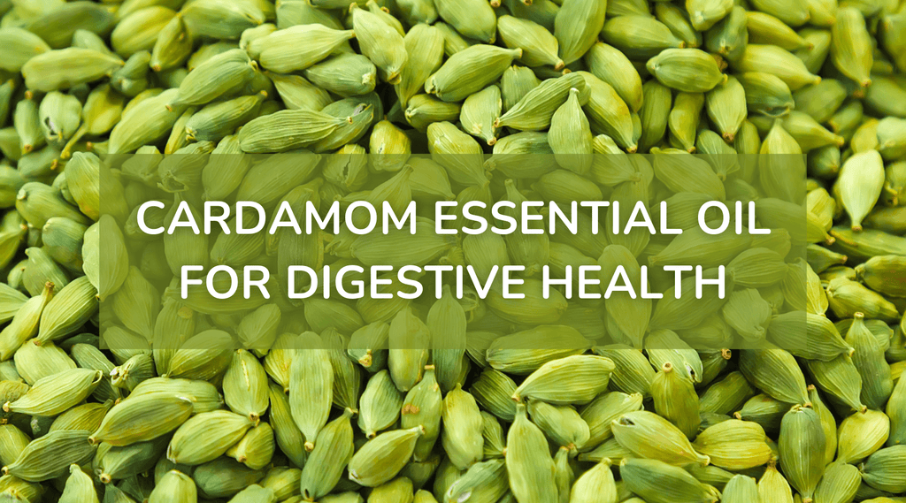 Spice Up Your Digestive Health with Cardamom Essential Oil