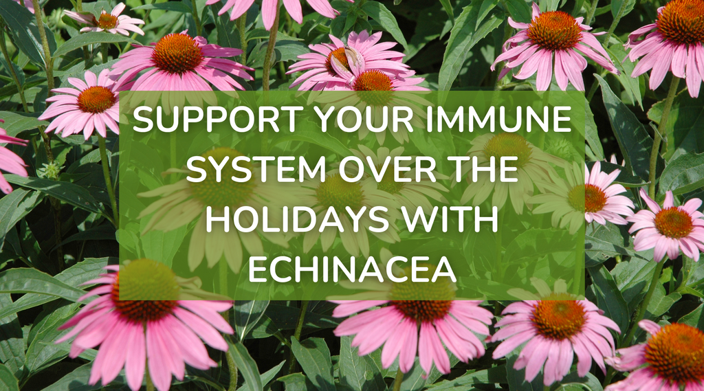 Support Your Immune System Over the Holidays with Echinacea