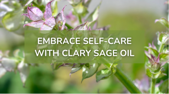 A close up of purple clary sage flowers on green stalks