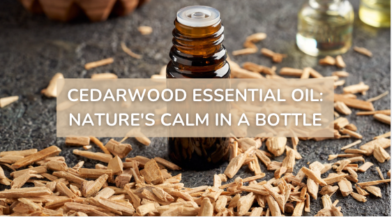 A bottle of cedarwood essential oil surrounded by shavings of cedar